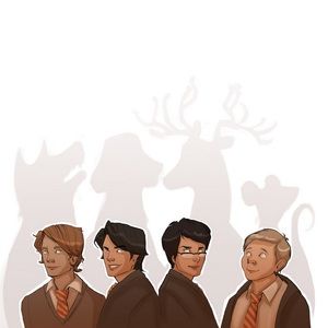 Meet your Posher, Nital